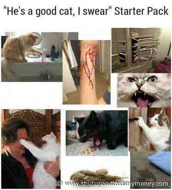 He’s A Good Cat I Swear Starter Pack – Meme