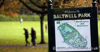 Gateshead Council vows to shut parks if people do not follow social distancing guidelines - Chronicle Live