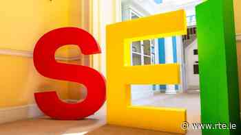 Social Entrepreneur schemes deadline extended - RTE.ie