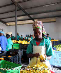 How this entrepreneur went where nobody goes to start dried fruit business in Mozambique - How we made it in Africa