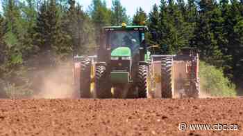 P.E.I. senators call on Ottawa to incentivise farming jobs during COVID-19 - CBC.ca