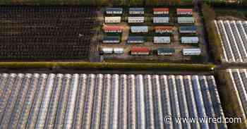 Farmworkers 'Can't Pick Strawberries Over Zoom'