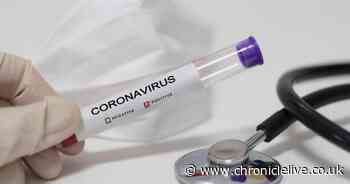 Coronavirus 'hot sites' planned for County Durham to treat patients