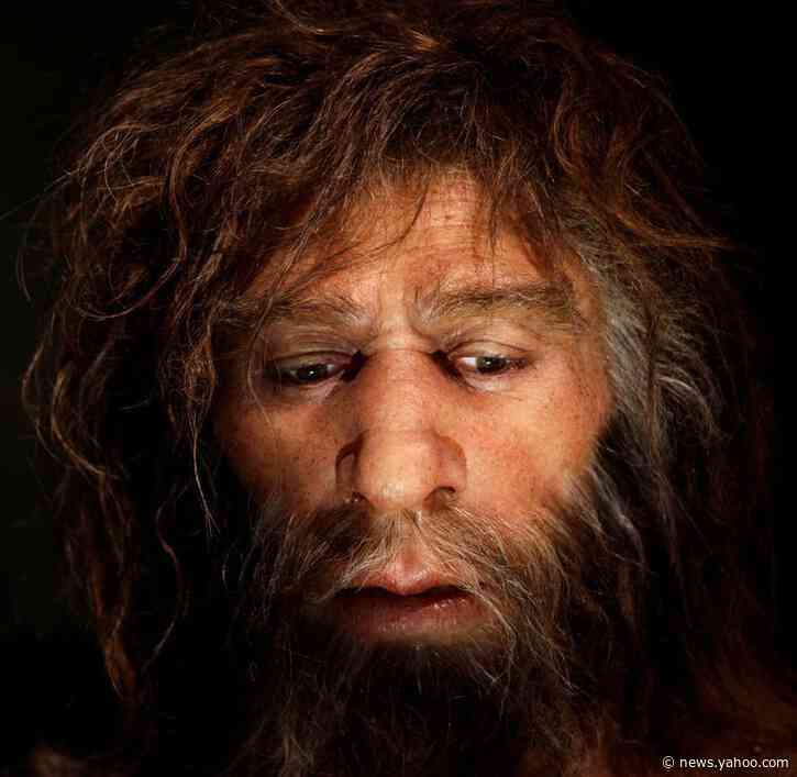 Ancient string provides further evidence of Neanderthals talents