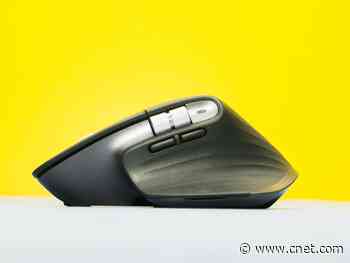 Best wireless mouse for working from home     - CNET