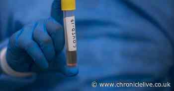 Coronavirus LIVE updates: Covid-19 vaccine months away