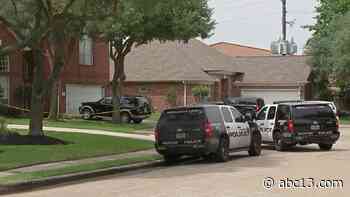 Man believed to be murder victim's son leads police to body - KTRK-TV