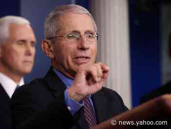 Dr. Fauci hopes America could return to some 'degree of normality' by November presidential election