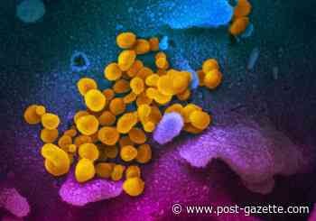 Friendship Village of South Hills reports two COVID-19 cases