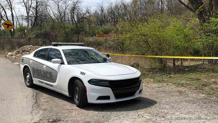 Police: Body Found In Woods Being Treated As A Homicide