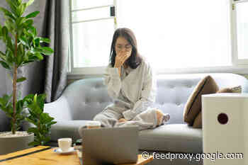 Spending Lots of Time Indoors? Here’s How to Improve Air Quality in Your Home