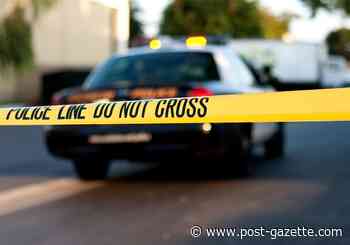 Allegheny County Police treat body found in Stowe as homicide victim