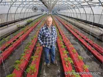 COVID-19 heightens uncertainty for Ottawa-area farmers