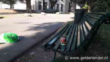 Boetes uitgedeeld voor barbecuen in Sonsbeek