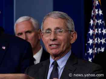 Fauci says the government is considering giving out COVID-19 'immunity cards' as part of push to reopen the economy