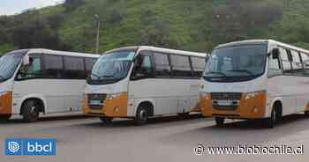 Choferes de buses de toda la provincia de Talagante iniciaron paralización por coronavirus - BioBioChile