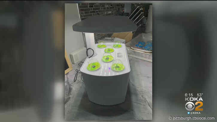 Grow From Home: Local Company Offering Way For Pittsburghers To Grow Produce At Home