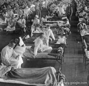 How The Last Pandemic Crept Into Literature