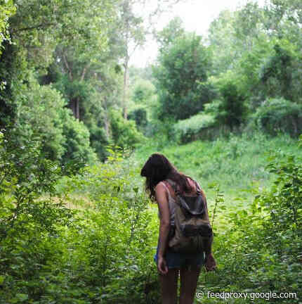 Home Alone: What We Know About Solitude And Its Healing Power