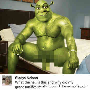 What The Hell Is This And Why Did My Grandson Like It Meme