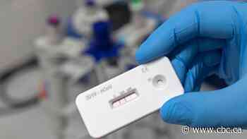 Health Canada says rapid blood test for COVID-19 remains under review