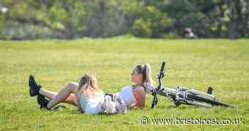 The strangest things you’ve seen out on your daily exercise