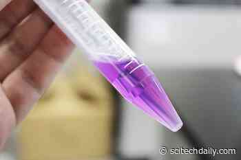 Light Driven Proton Pump Discovered in Distant Relative