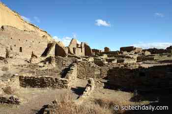The Life and Death of One of America’s Most Mysterious Trees