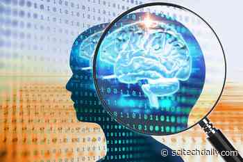 Watch and Learn: How the Brain Gains Knowledge Through Observation