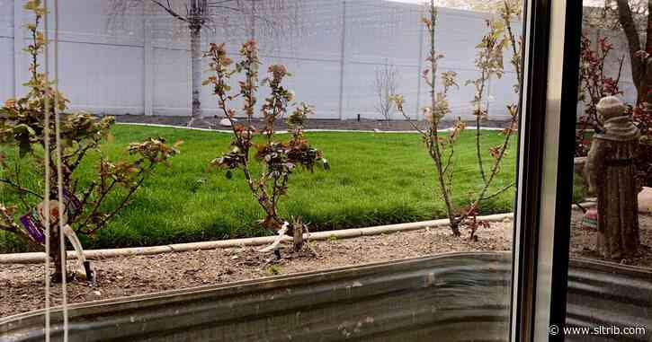 Michael Patrick O’Brien: Hope grows with the roses