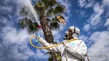 Die vergessenen Verlierer der Corona-Krise