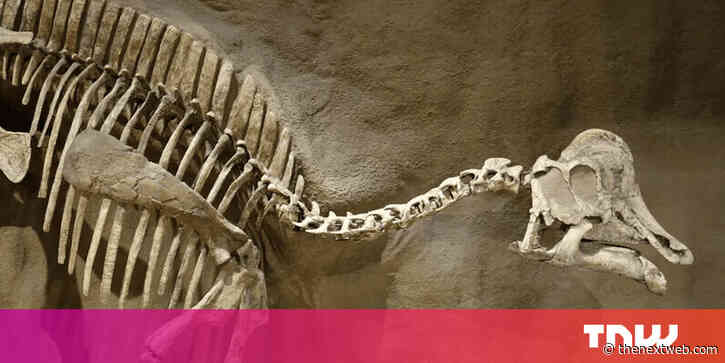 We might’ve finally found dinosaur DNA, but some scientists don’t think it’s the real deal