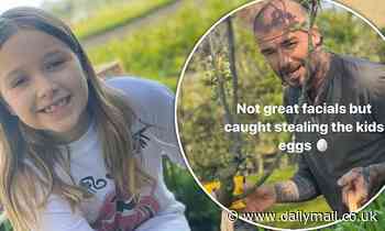 David Beckham takes daughter Harper on an Easter egg hunt as he leads celebs enjoying the day