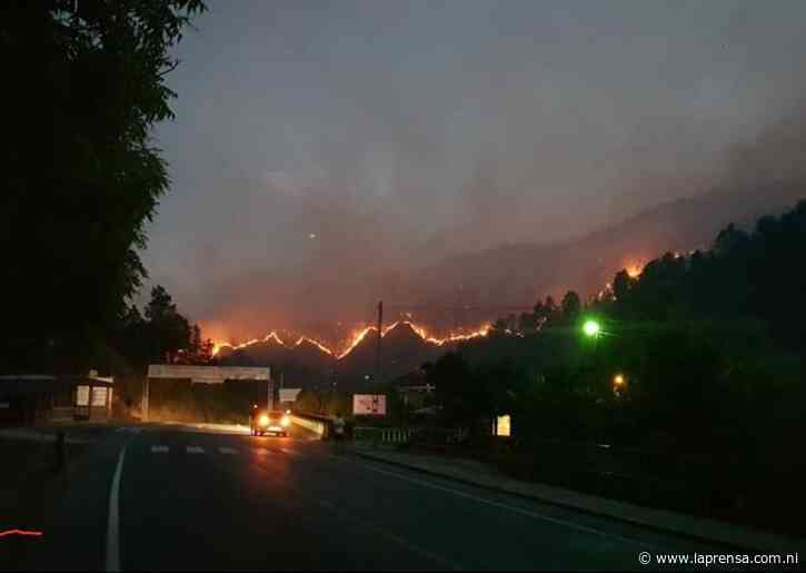 Incendios arrasan con bosques de pinos en la zona de Dipilto - La Prensa (Nicaragua)