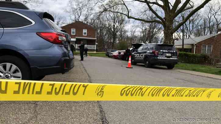 Police: One Man Dead, Another Injured After Double Stabbing In Shaler
