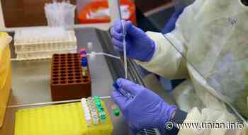 Ukraine's chief medical officer: Zelensky offers local scientists US$1 mln for coronavirus vaccine - UNIAN