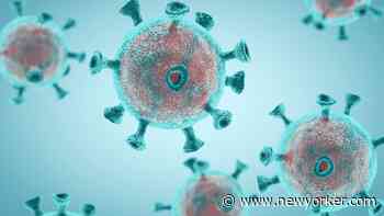 The Federalist as “Medical Journal” in the Time of the Coronavirus - The New Yorker
