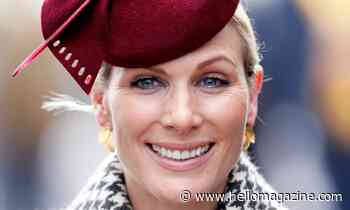 Zara Tindall has painted her beloved horse Toytown to raise money for the NHS