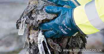 Coronavirus: People urged not to flush kitchen roll and baby wipes