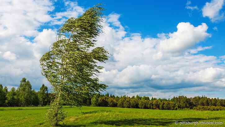 Severe Weather: Wind Advisory Issued For Parts Of Pennsylvania, Ohio and West Virginia