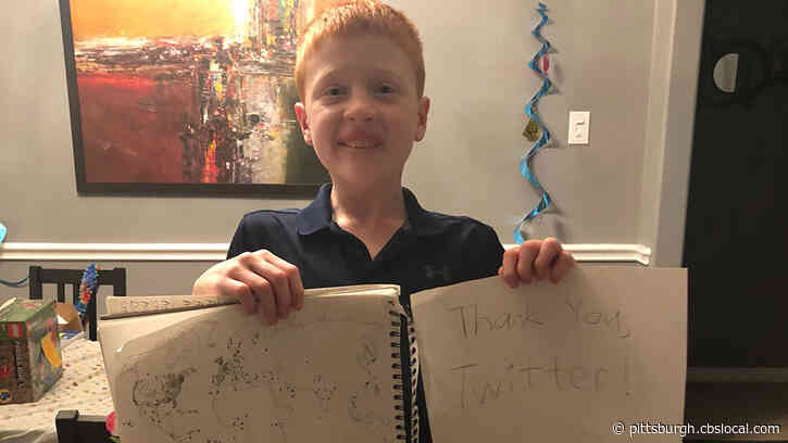 12-Year-Old Celebrates Birthday In Isolation By Filling In World Map With The Help Of Twitter