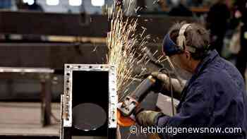 Lethbridge-Medicine Hat's jobless rate at 5.2 percent in March - Lethbridge News Now