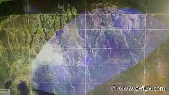 How to Make a Forest - Architecture - E-Flux