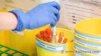 Toronto reports 160 new coronavirus cases, total now 2,225 - 680 News