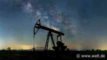 Ein Fass Öl für null Dollar – der verzweifelte Kampf des Kartells