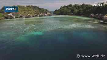 Wie diese Idee ein Unterwasserparadies rettet