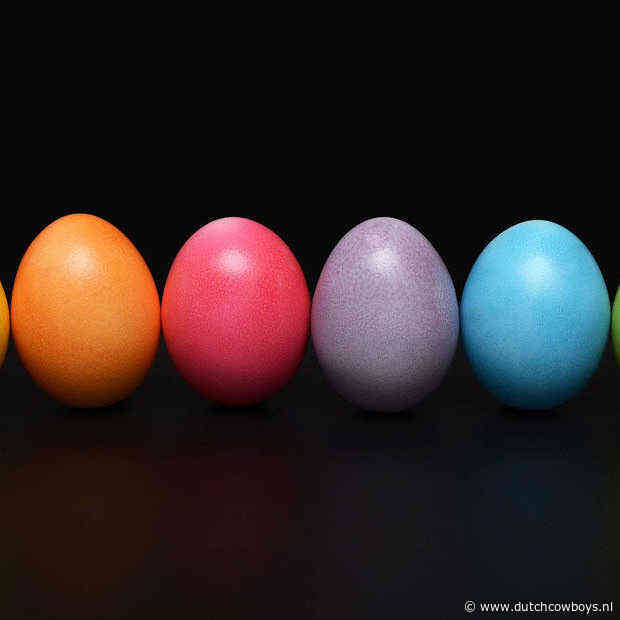 ​Wat doe je met “blijf thuis” tijdens Pasen? Dit!