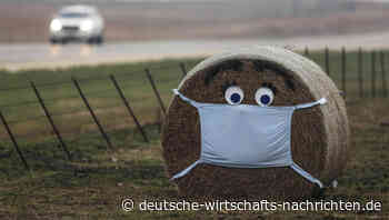 Mehr als die Hälfte der Corona-Infizierten in Deutschland wieder genesen: Werden die Beschränkungen bald gelockert?