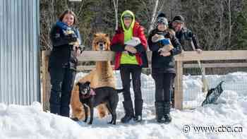 Quebec families pose, at a distance, for once-in-a-lifetime pandemic photo project