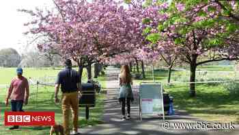 Coronavirus: Google data suggests park visits rose on weekend